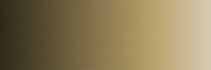 4-1-One-One-DE_(300 × 100 px)